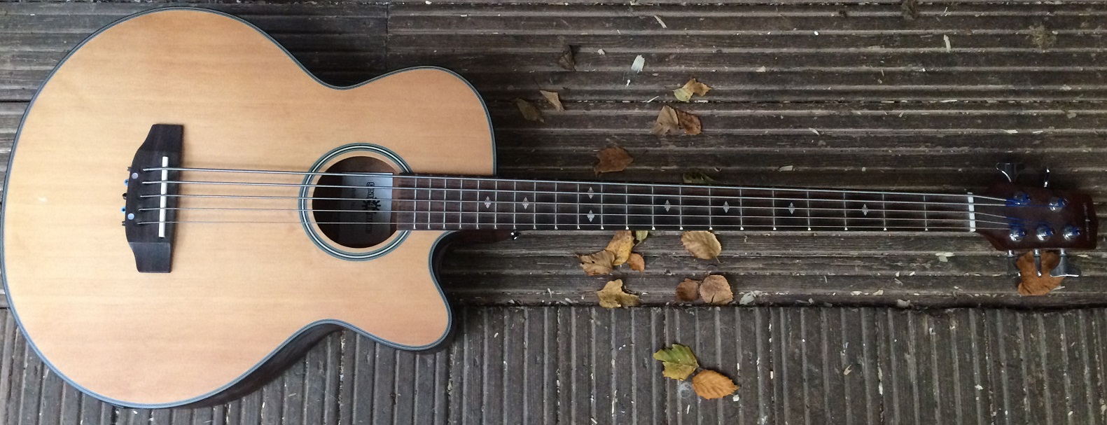 5 String Acoustic Bass